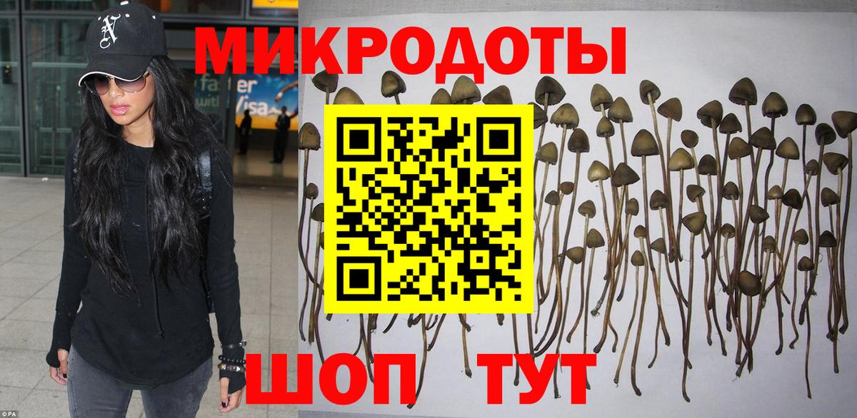 Галлюциногенные грибы Psilocybine cubensis Киреевск