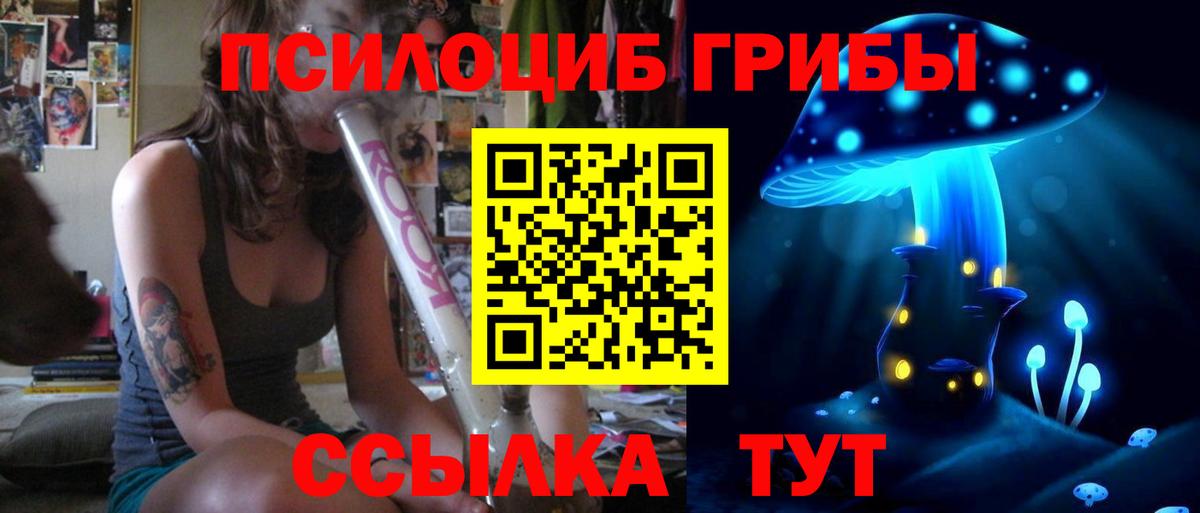 Киреевск  Галлюциногенные грибы прущие грибы  Вход с VPN  Псилоцибиновые грибы Magic Shrooms 